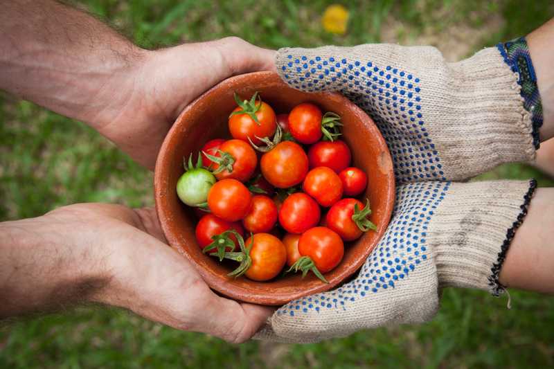 sharing a bowl of tomateos